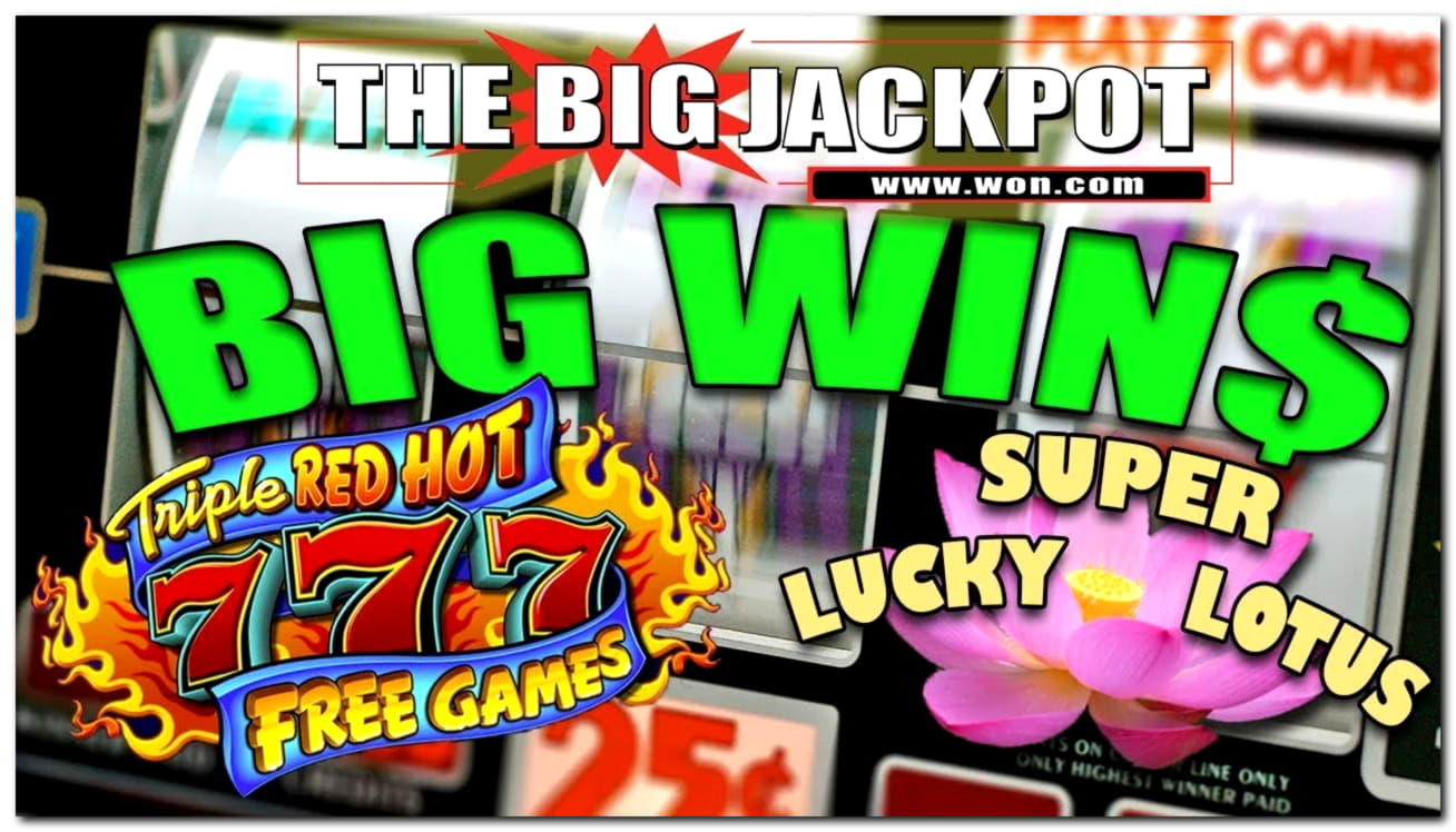 210 Loyalty Free Spins! at Casino Dingo